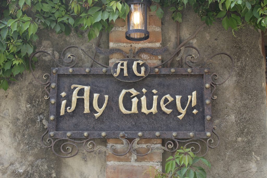 Aniversario ¡Ay Güey!